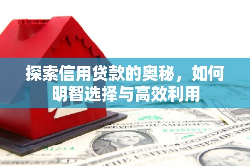 嵊泗探索信用贷款的奥秘，如何明智选择与高效利用