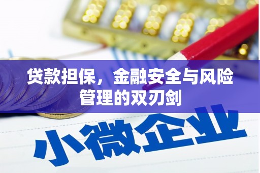嵊泗贷款担保，金融安全与风险管理的双刃剑