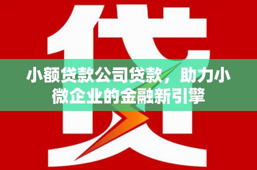 嵊泗小额贷款公司贷款，助力小微企业的金融新引擎