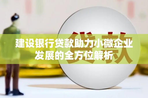 嵊泗建设银行贷款助力小微企业发展的全方位解析