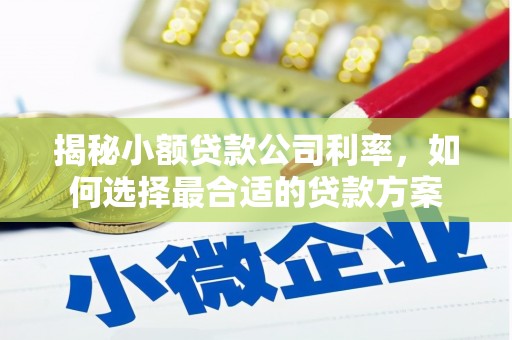 嵊泗揭秘小额贷款公司利率，如何选择最合适的贷款方案