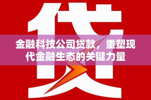 嵊泗金融科技公司贷款，重塑现代金融生态的关键力量