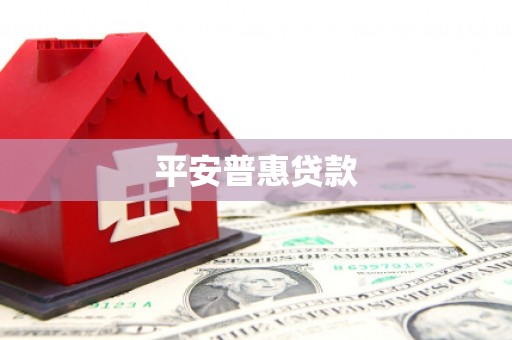 嵊泗平安普惠贷款