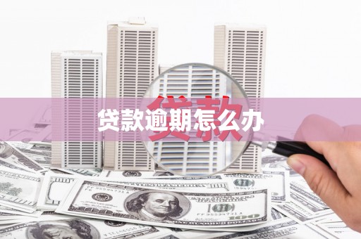 嵊泗贷款逾期怎么办