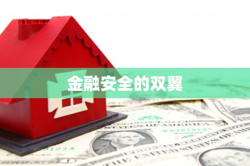 嵊泗金融安全的双翼