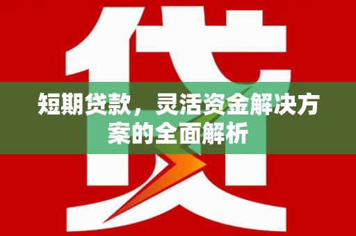 嵊泗短期贷款，灵活资金解决方案的全面解析