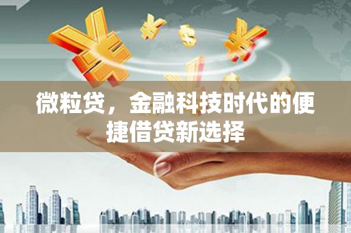 嵊泗微粒贷，金融科技时代的便捷借贷新选择
