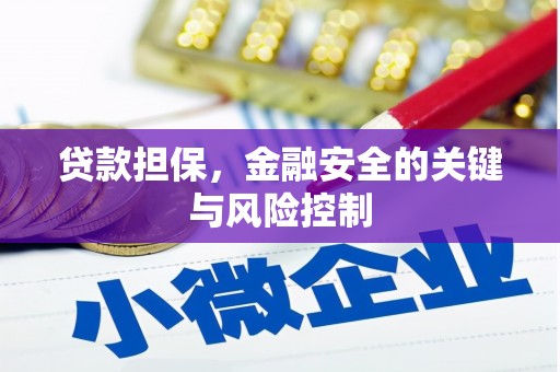 嵊泗贷款担保，金融安全的关键与风险控制
