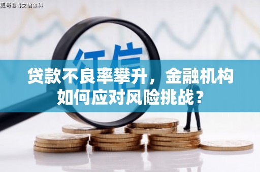嵊泗贷款不良率攀升，金融机构如何应对风险挑战？