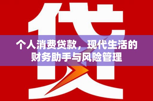 嵊泗个人消费贷款，现代生活的财务助手与风险管理