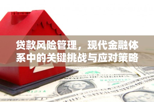 嵊泗贷款风险管理，现代金融体系中的关键挑战与应对策略