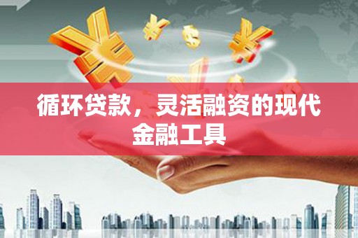 嵊泗循环贷款，灵活融资的现代金融工具