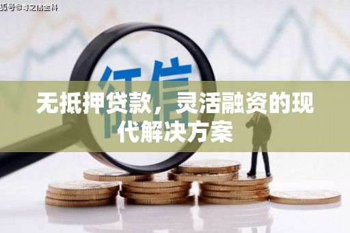 嵊泗无抵押贷款，灵活融资的现代解决方案