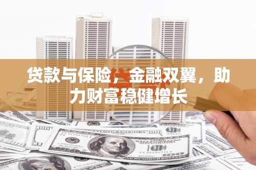 嵊泗贷款与保险，金融双翼，助力财富稳健增长