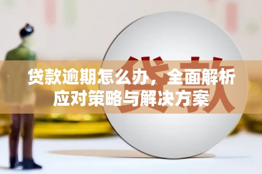 嵊泗贷款逾期怎么办，全面解析应对策略与解决方案