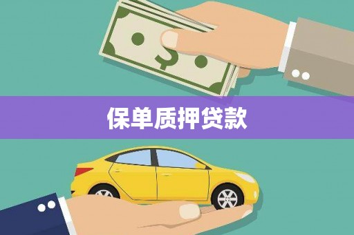 嵊泗保单质押贷款