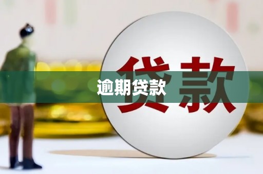 嵊泗逾期贷款