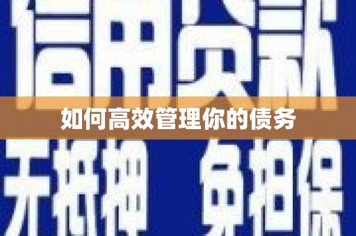 嵊泗如何高效管理你的债务