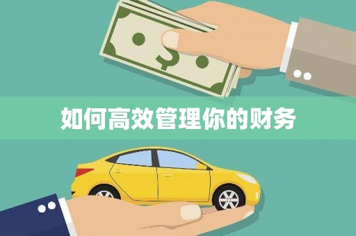 嵊泗如何高效管理你的财务