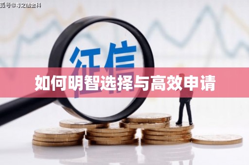 嵊泗如何明智选择与高效申请