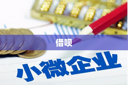 嵊泗借呗