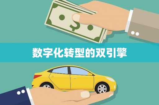 嵊泗数字化转型的双引擎