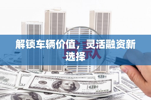 嵊泗解锁车辆价值，灵活融资新选择