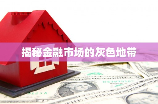 嵊泗揭秘金融市场的灰色地带