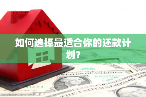 嵊泗如何选择最适合你的还款计划？