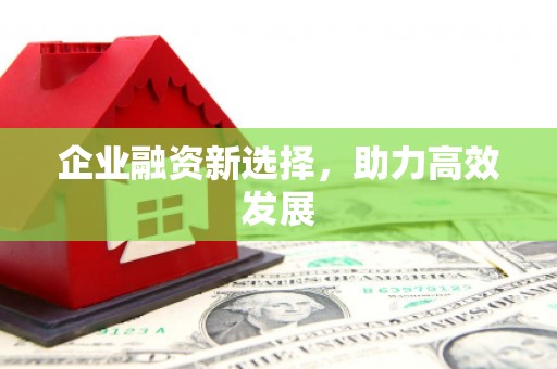 嵊泗企业融资新选择，助力高效发展