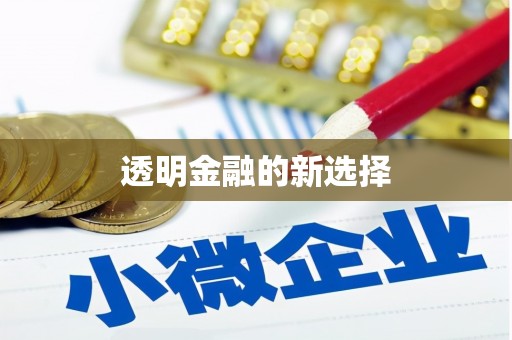 嵊泗透明金融的新选择
